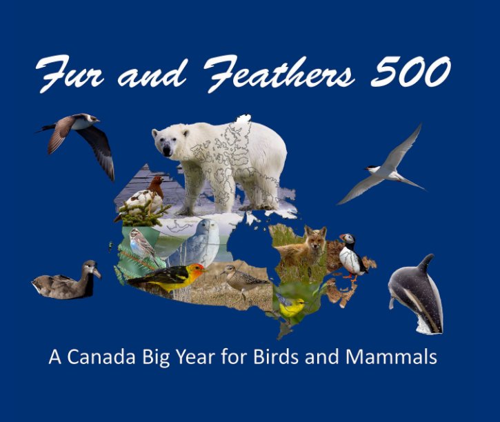 Ver Fur and Feathers 500 por Brian Elder