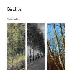 Birches book cover