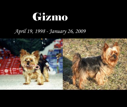 Gizmo book cover