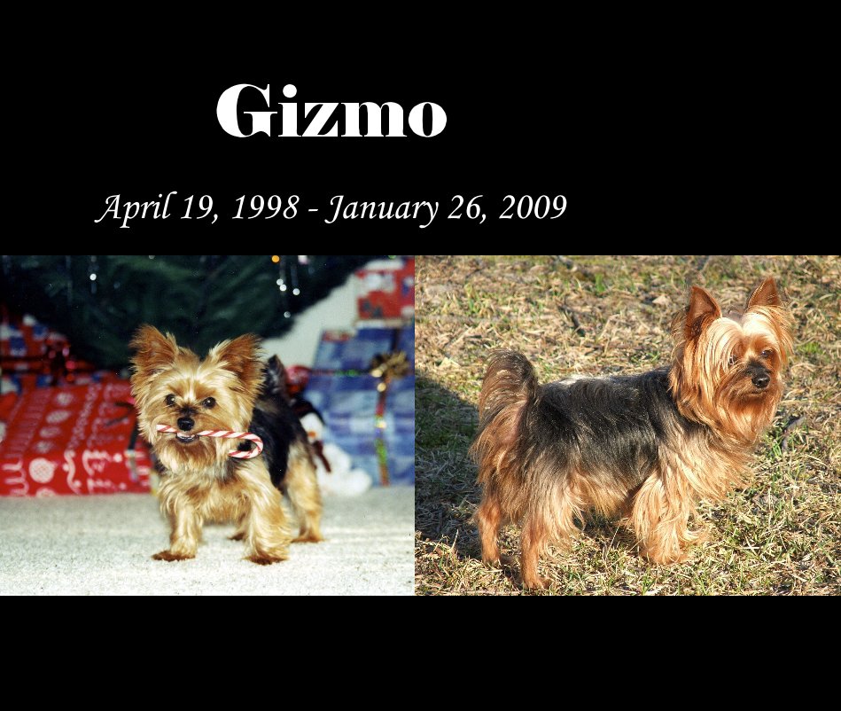 View Gizmo by Chris Hyche