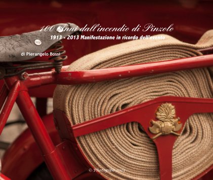 100 Anni dall'incendio di Pinzolo 1913 - 2013 Manifestazione in ricordo dell'evento book cover