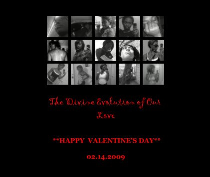 The Divine Evolution of Our Love book cover