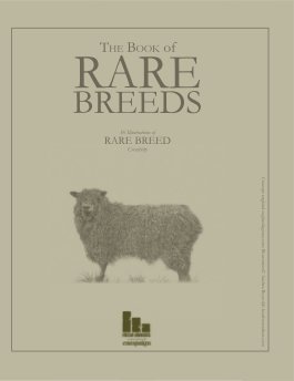 Rare Breeds book cover