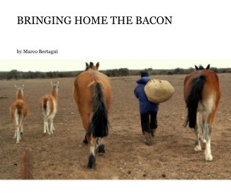 BRINGING HOME THE BACON book cover