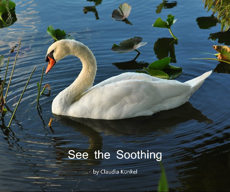 View See the Soothing by Claudia Künkel