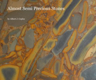 Almost Semi Precious Stones book cover
