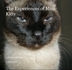 The Experiences of Miss Kitty book cover
