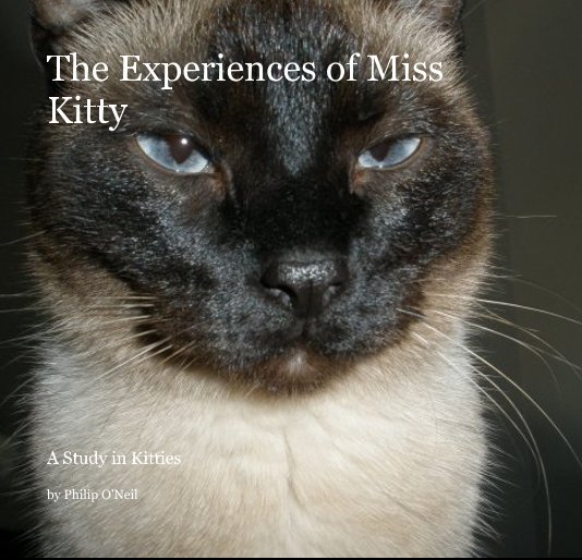 View The Experiences of Miss Kitty by Philip O'Neil