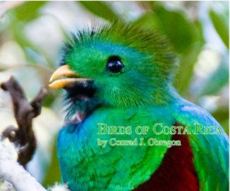 Birds Of Costa Rica book cover