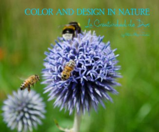 COLOR AND DESIGN IN NATURE book cover