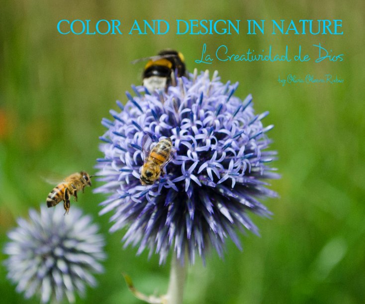 View COLOR AND DESIGN IN NATURE by Olivia Olvera Rubio