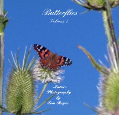 Butterflies Volume 1 book cover