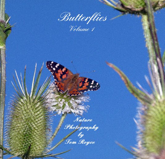 Ver Butterflies Volume 1 por Tom Royce