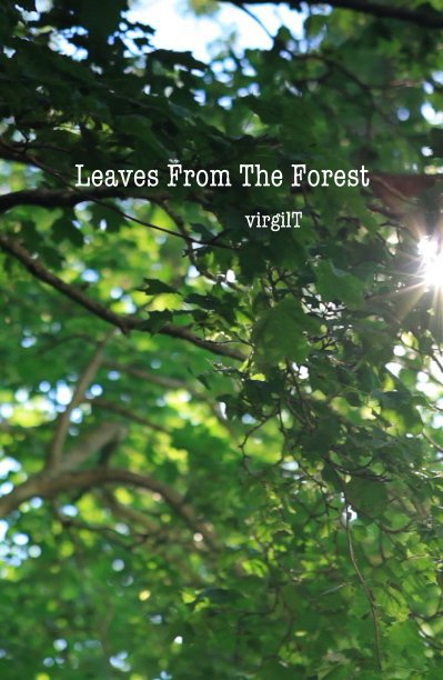 View Leaves From The Forest virgilT by voicepro