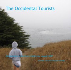 The Occidental Tourists book cover