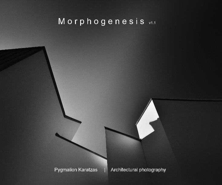 View Morphogenesis v1.1 by Pygmalion Karatzas