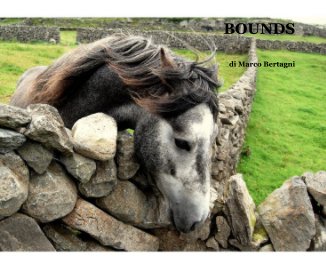 BOUNDS book cover