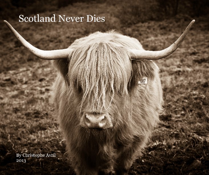 View Scotland Never Dies by Christophe Avril
