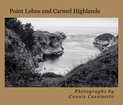 Point Lobos & Carmel book cover