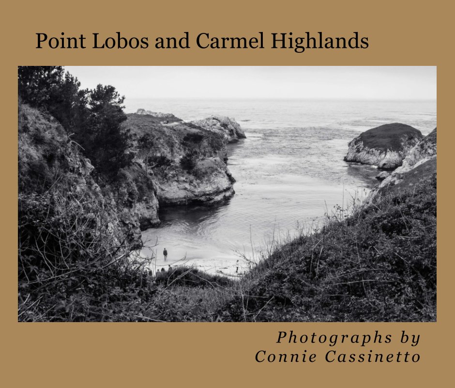 View Point Lobos & Carmel by Connie Cassinetto