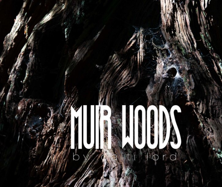 View Muir Woods by Caiti Lord