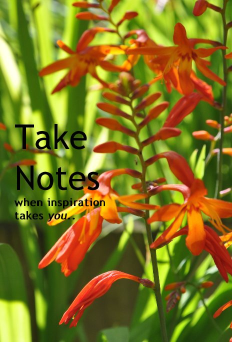 Ver Take Notes when inspiration takes you.. por Gillyjinks