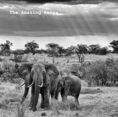 The Amazing Kenya book cover