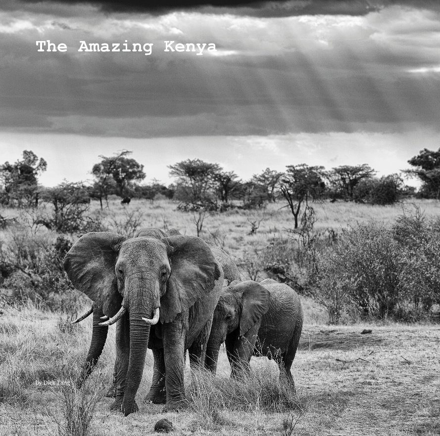 View The Amazing Kenya by Dick Tang