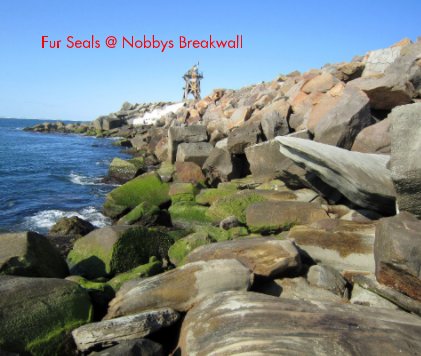 Fur Seals @ Nobbys Breakwall book cover
