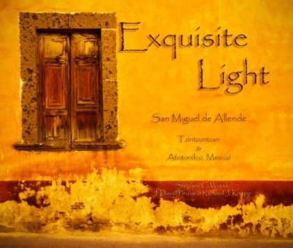 Exquisite Light (2nd) book cover
