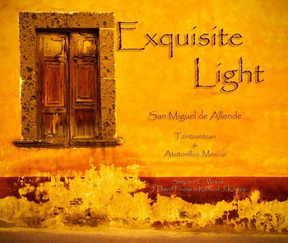 View Exquisite Light (2nd) by Stephen Wood, J. David Pincus,  Rick Knapp