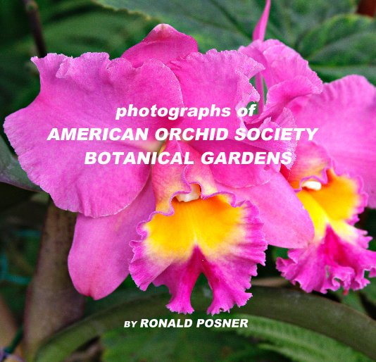 photographs of AMERICAN ORCHID SOCIETY BOTANICAL GARDENS nach RONALD POSNER anzeigen