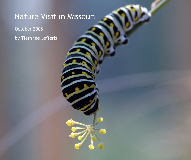 View Nature Visit in Missouri by Tiernnee Jefferis