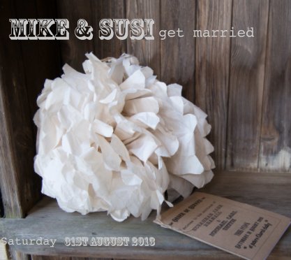 Mike & Susi get married book cover