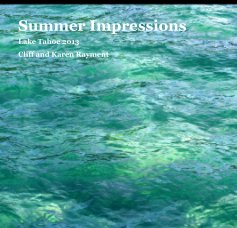 Summer Impressions book cover