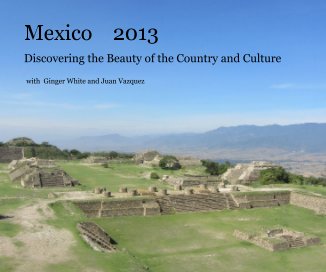 Mexico 2013 book cover