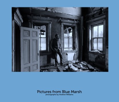 Pictures from Blue Marsh book cover