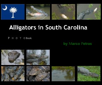 Alligators in South Carolina book cover