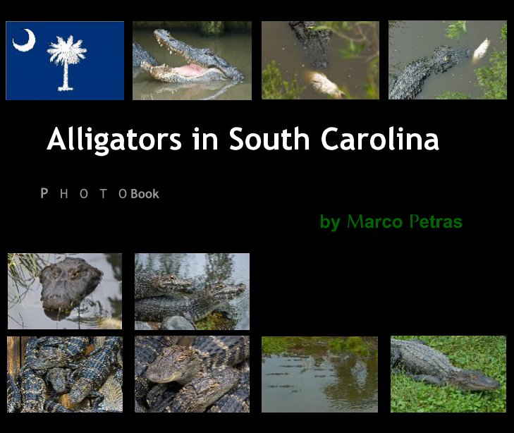 View Alligators in South Carolina by by Marco Petras