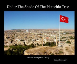 Under The Shade Of The Pistachio Tree book cover