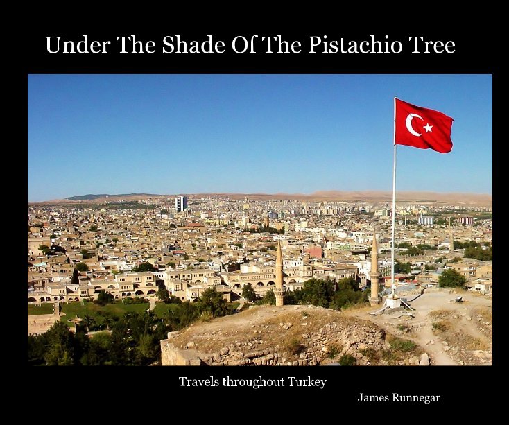 View Under The Shade Of The Pistachio Tree by James Runnegar