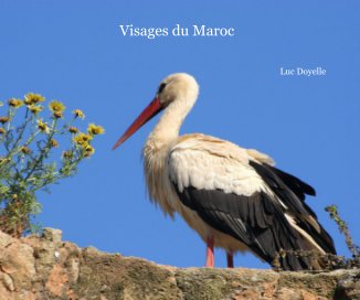 Visages du Maroc book cover
