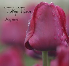 Tulip Time May 2013 book cover