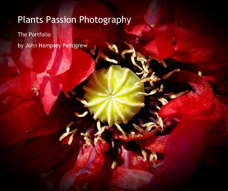 View Plants Passion Photography by John Hampsey Pettigrew