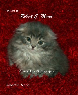 The Art of Robert C. Morin book cover
