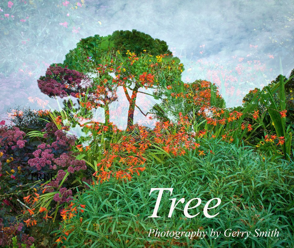 View TREE by Gerry Smith