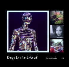 Days In the Life of         By  Rosa Pineda              V. I book cover