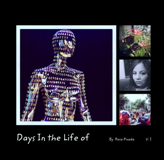 View Days In the Life of         By  Rosa Pineda              V. I by Rosa Pineda