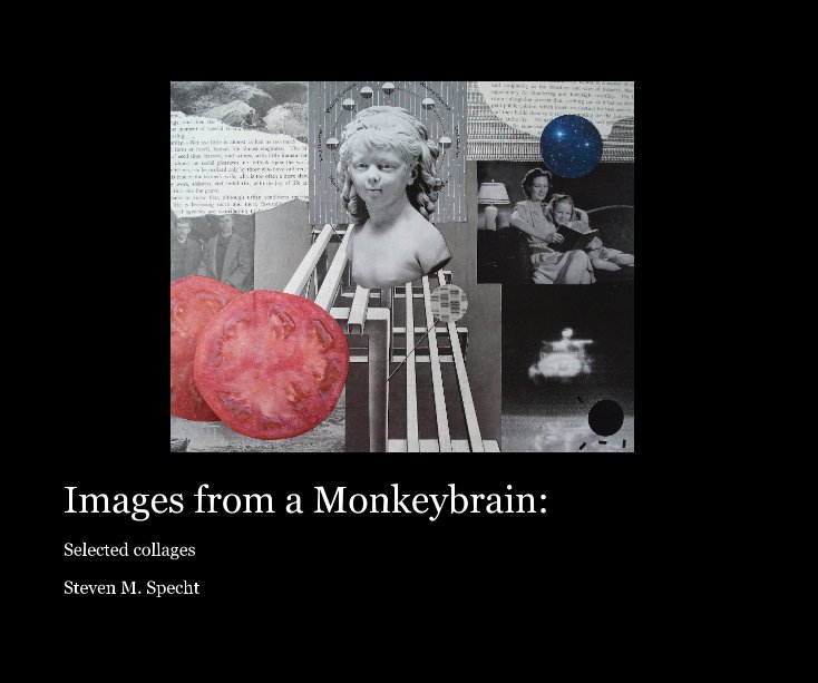 Ver Images from a Monkeybrain: por Steven M. Specht