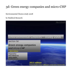 3d: Green energy companies and micro-CHP book cover